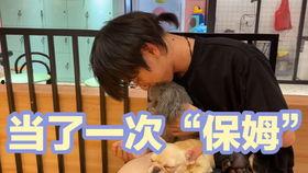 姚译添花絮视频,幕后趣事大揭秘